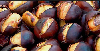 castagne